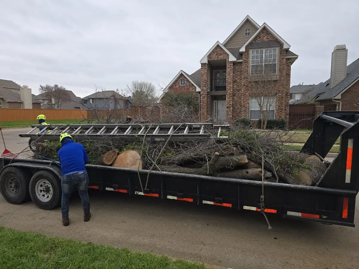 Expert Lot Clearing with proper safety equipment in Hankamer